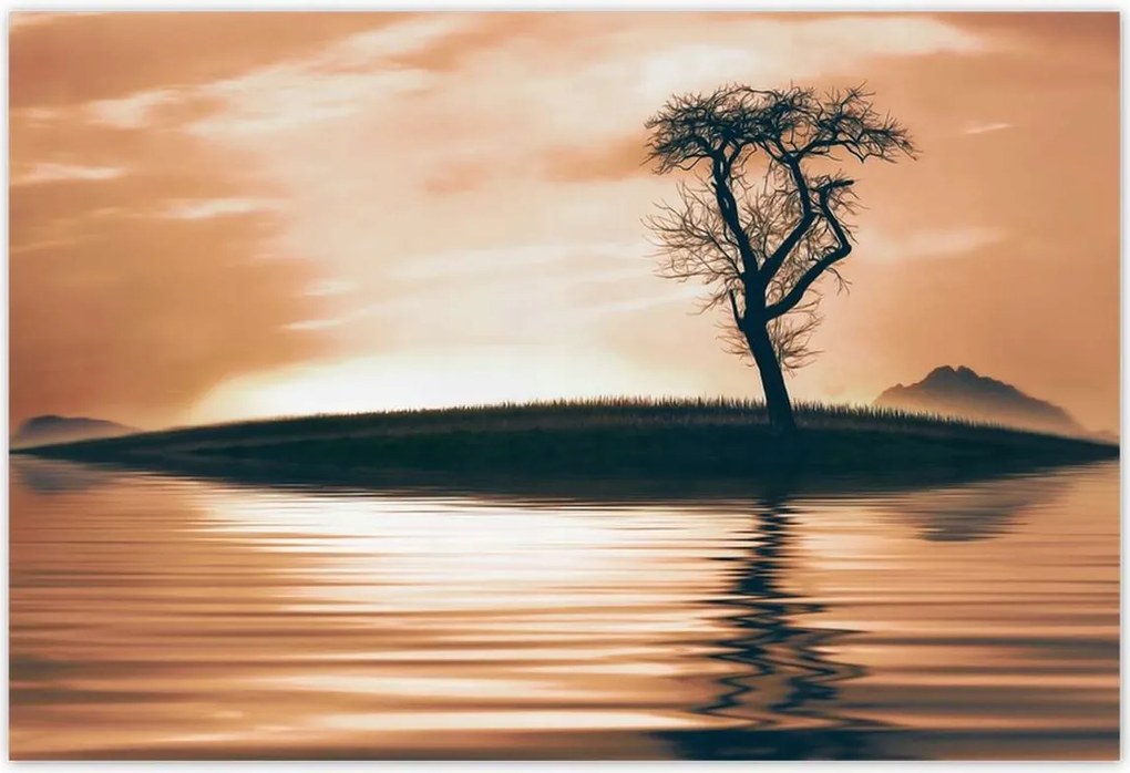 Poszterek 200x135 Fa a szigeten