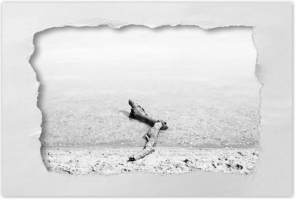 Poszterek 120x80 Gyökér tengerpart Gyökér víz