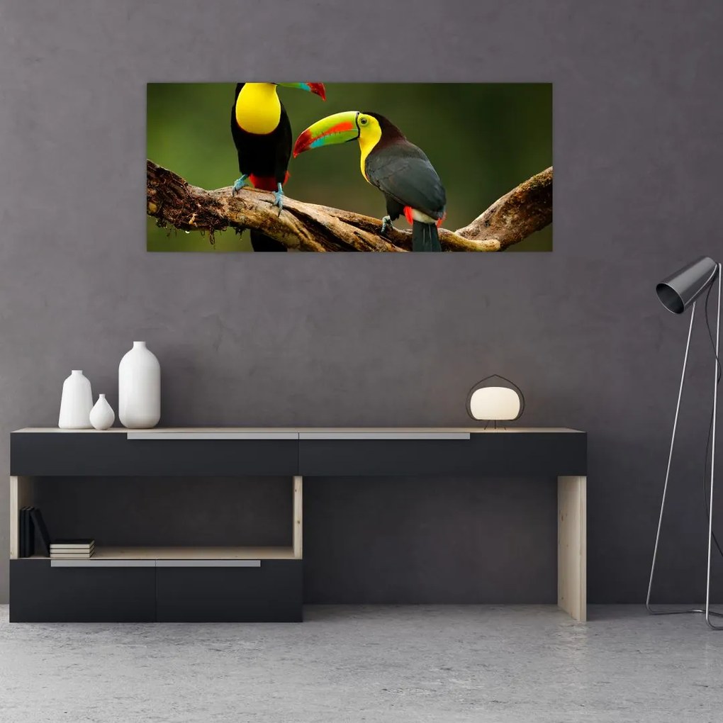 Ülő tukánok képe, Costa Rica (120x50 cm)