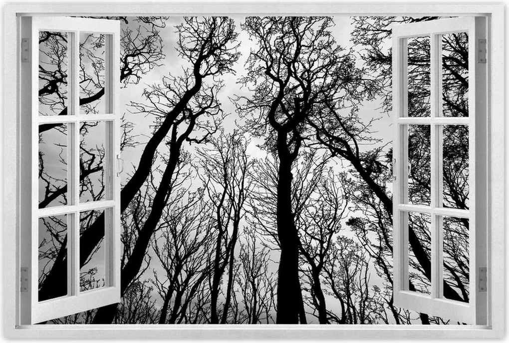 Poszterek 120x80 Erdő Fák Kilátás alulról