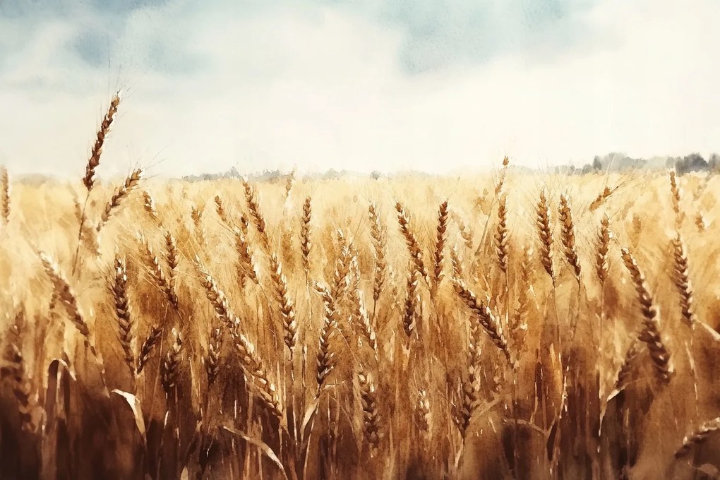 Fotótapéta Flizelina Természet Vidék Mező Gabona Kalászok 312x219 ragasztó