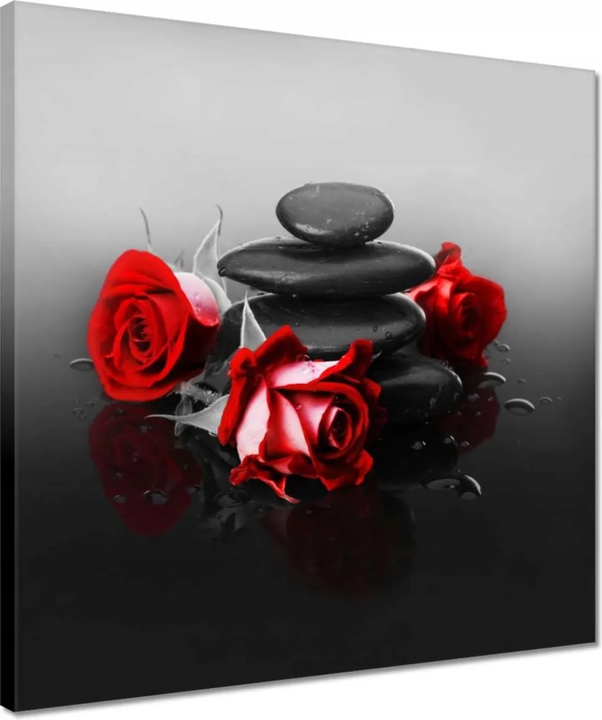Vászonkép 40x40 Vörös rózsa Wellness