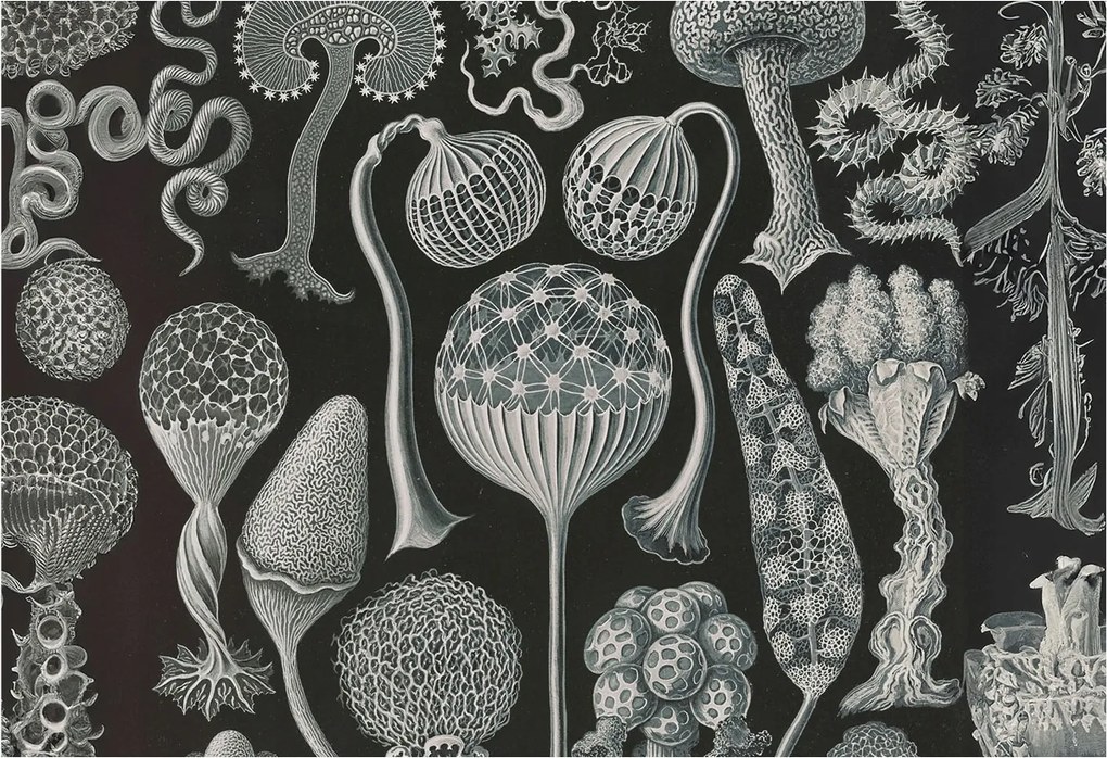 Divatos 3D Fali Tapéta Varázslatos Növények 152x104 Ragasztóval