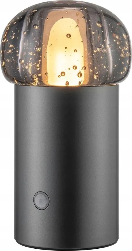 Blomus Iris Hordozható Led Antracit lámpa