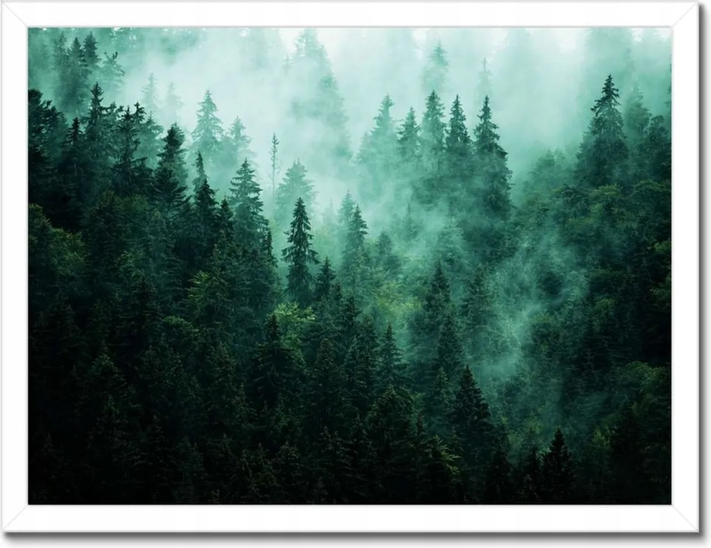Poszter fehér keretben 40x30 Erdő Köd Tájkép Utazás