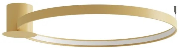 Thoro TH.224 - LED Mennyezeti lámpa RIO LED/50W/230V CRI90 3000K átm. 78 cm arany