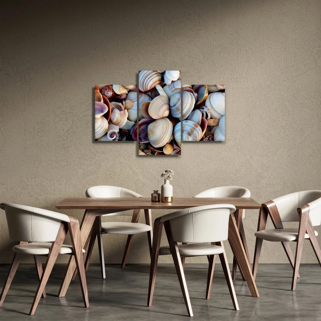 Kagyló képe (90x60 cm)