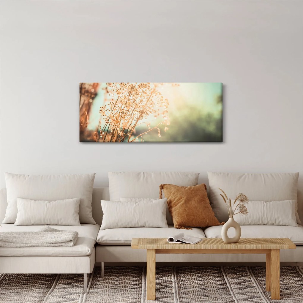 Kép - Növények eső után (120x50 cm)
