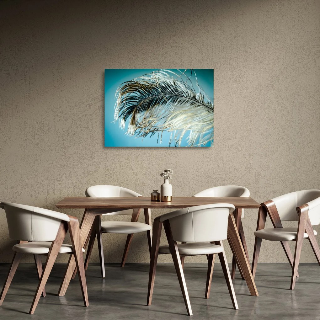 Tollas kép (üvegen) (70x50 cm)