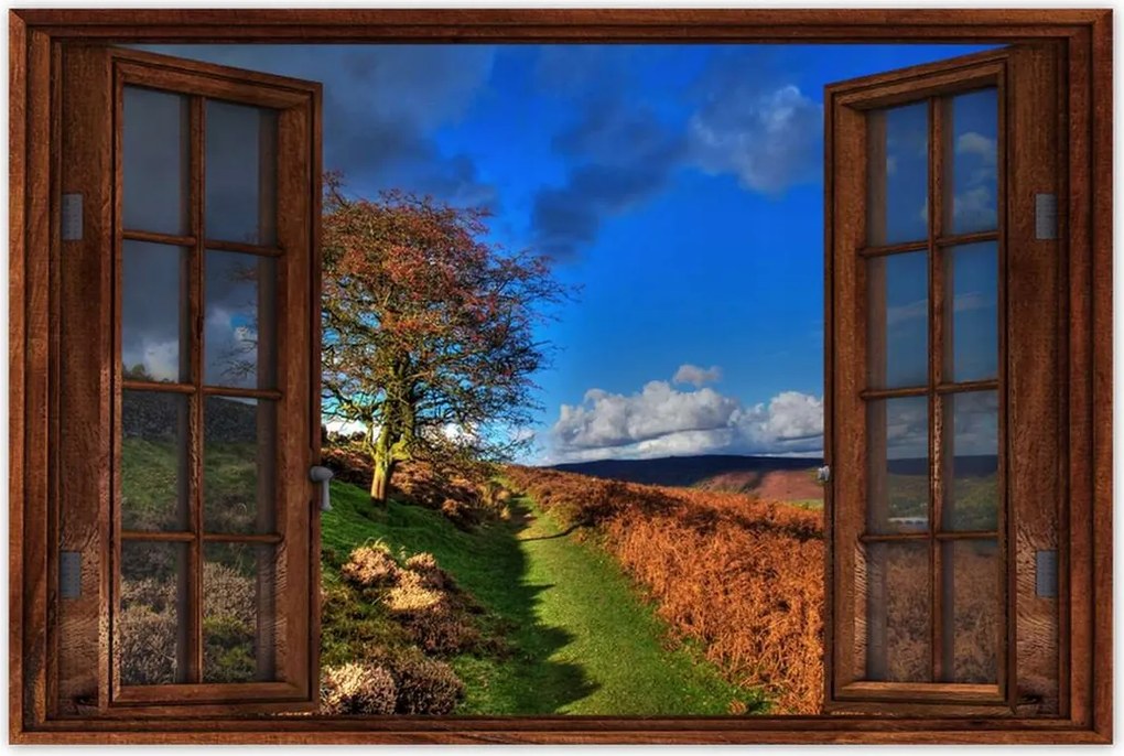 Poszterek 60x40 Fa a kilátásban