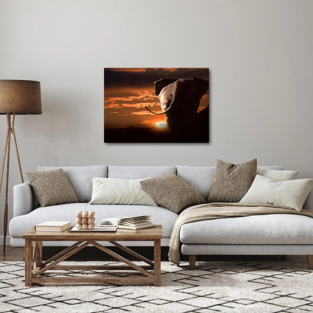Elefánt képe (70x50 cm)