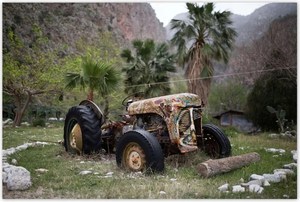 Poszterek 120x80 Régi traktor a mezőn