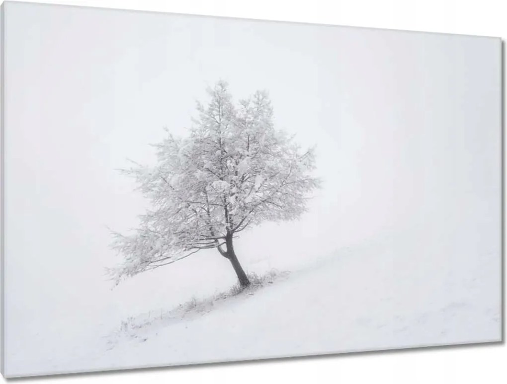 Festmények 120x80 Fa Fák Kilátás