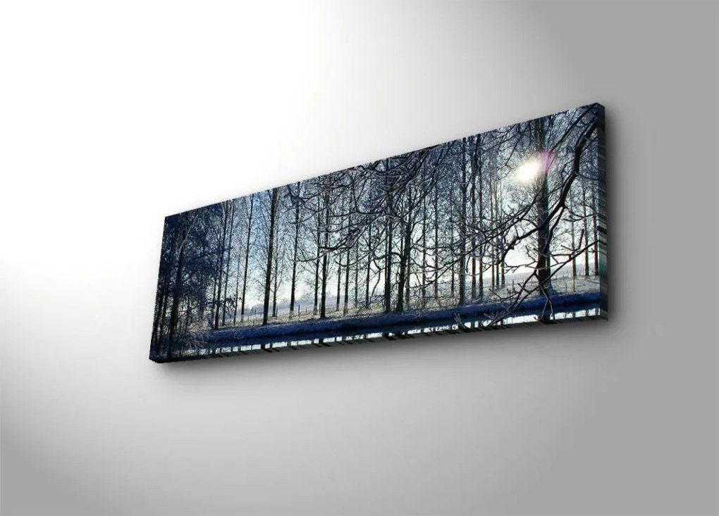 Vászonkép, 30×90 cm – 3090DACT-37