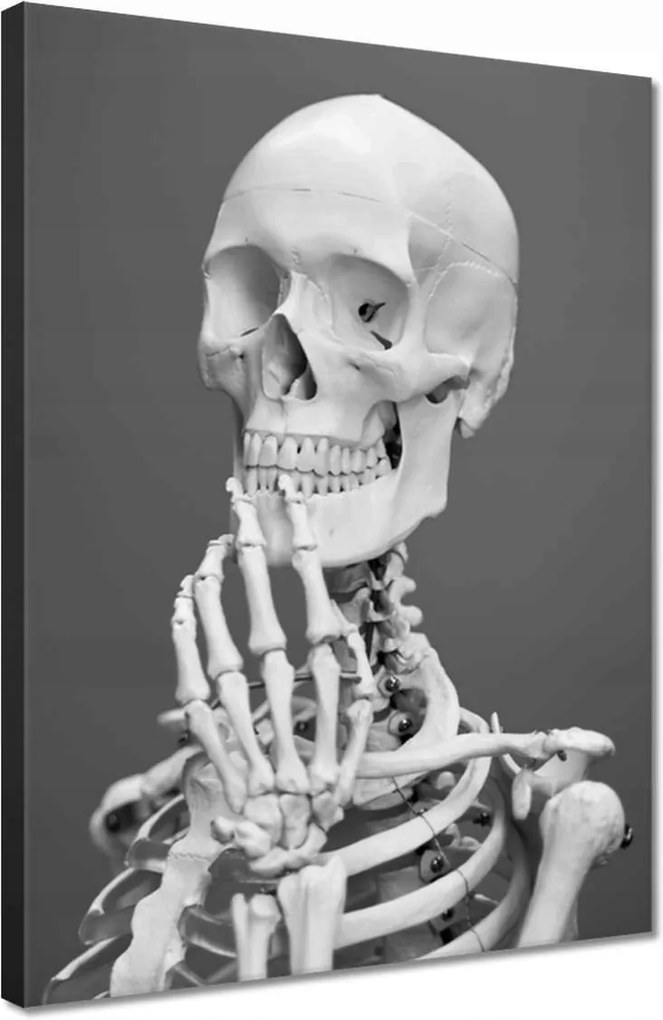 Vászonkép 30x40 Csontváz