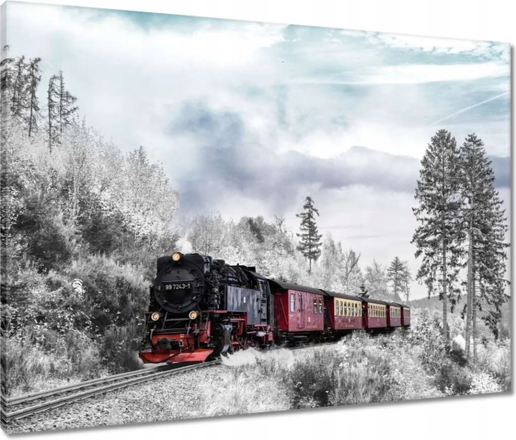 Vászonkép 80x60 Vonat és téli aura