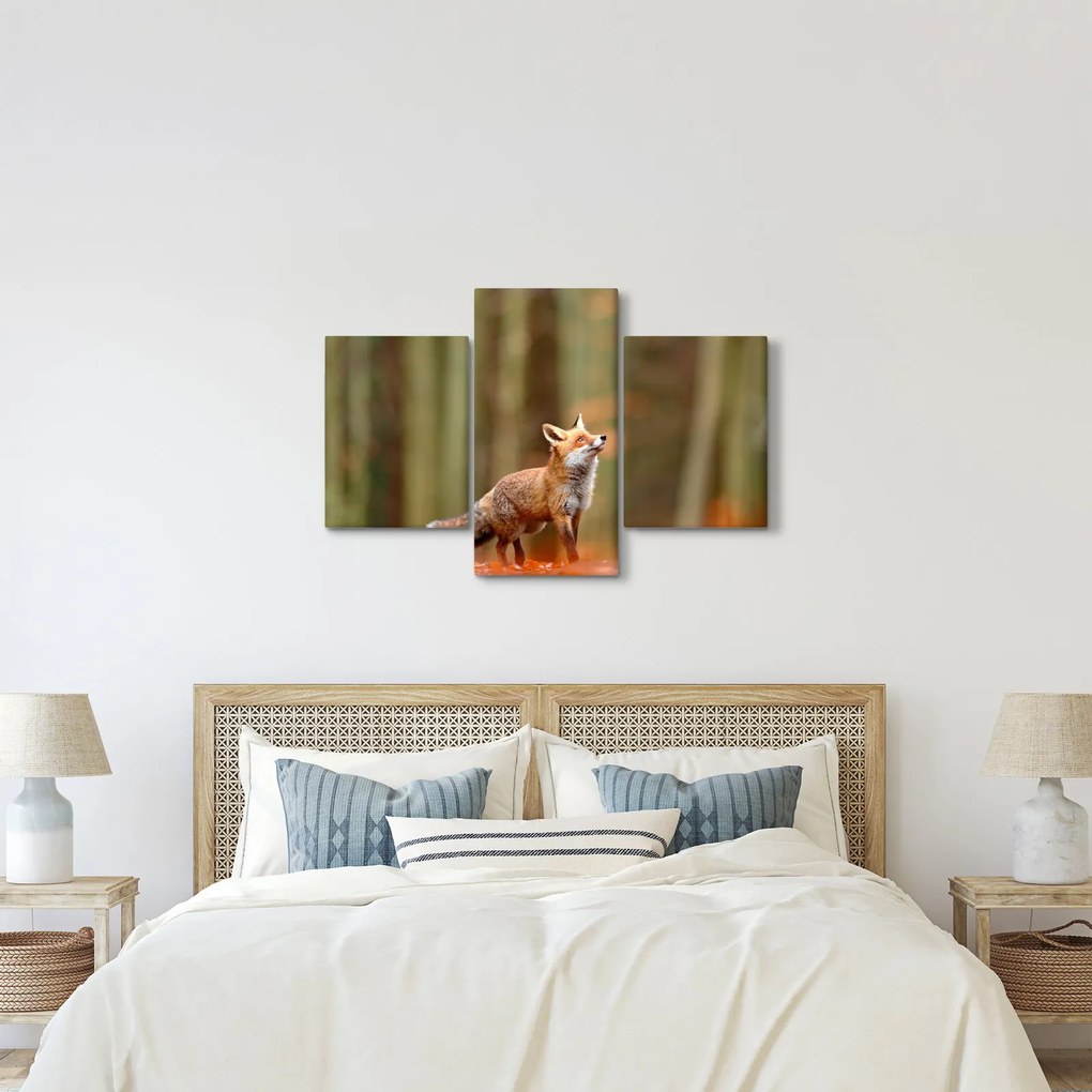 Kép - Róka (90x60 cm)