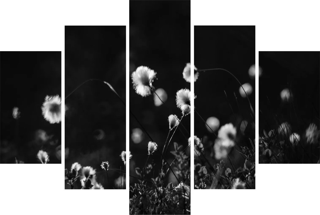 Kép - Gyapotfűvel borított rét N⁰1 (150x105 cm)
