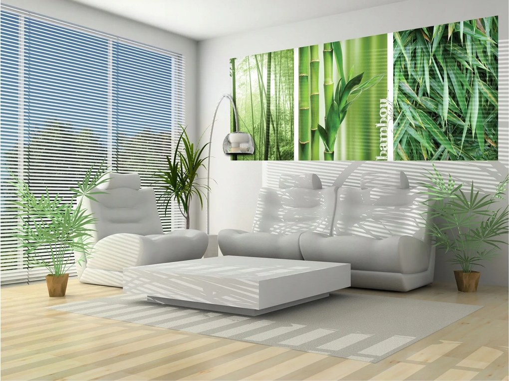 Fotótapéta Bambusz erdő Zöld 250x104 A természet frissessége otthonra +ragasztó
