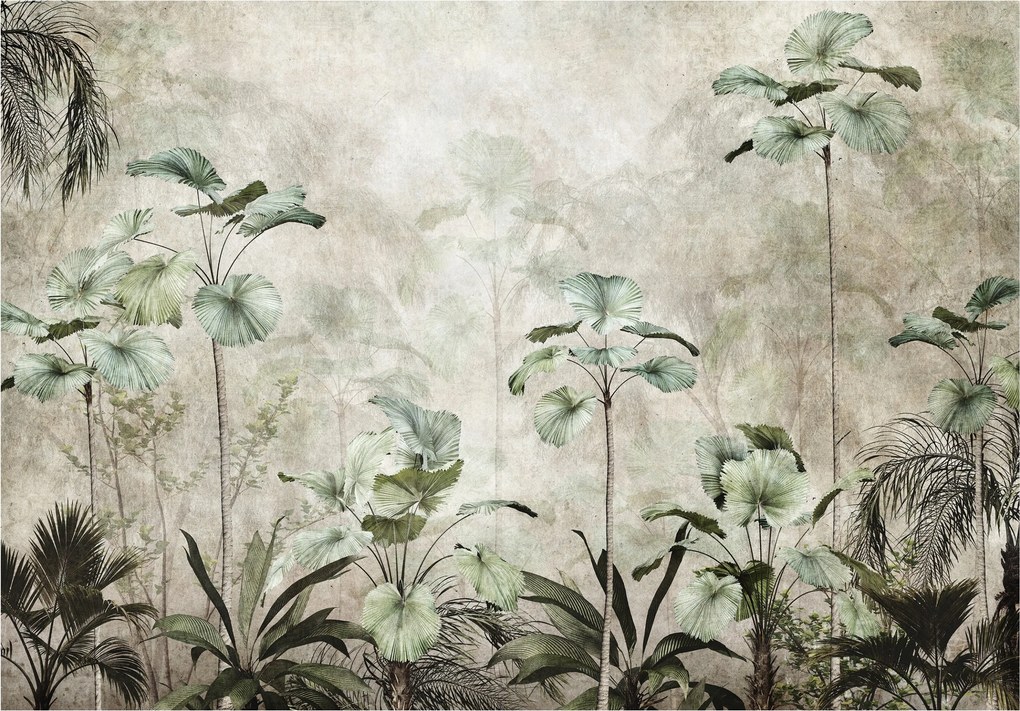 Fotótapéta Trópusi Paradicsom Pálmalevél Licuala Grandis 200x140 +ragasztó