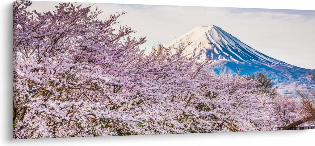 Kép - Japán tavasszal (120x50 cm)