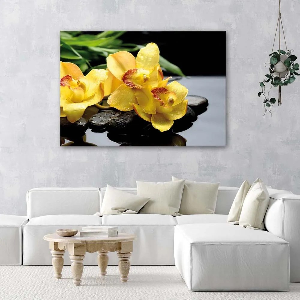 Gario Vászonkép Nárciszok és zen kövek Méret: 100 x 70 cm