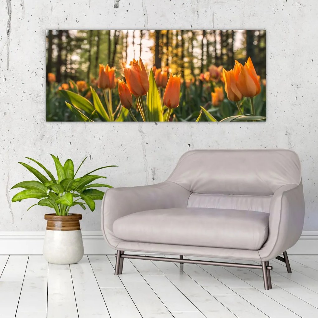 Narancssárga tulipán képe (120x50 cm)