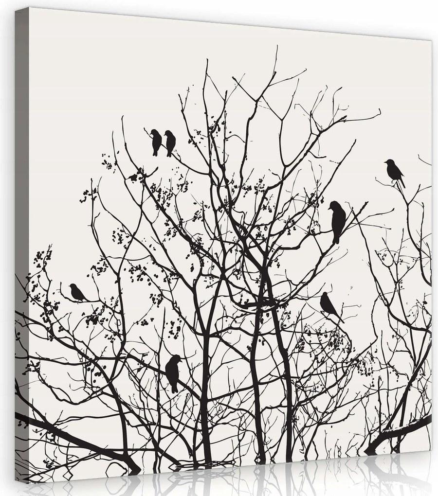 Vászonkép 40x40 Fekete-fehér fák madarak tél minimalizmus grafika természet csend