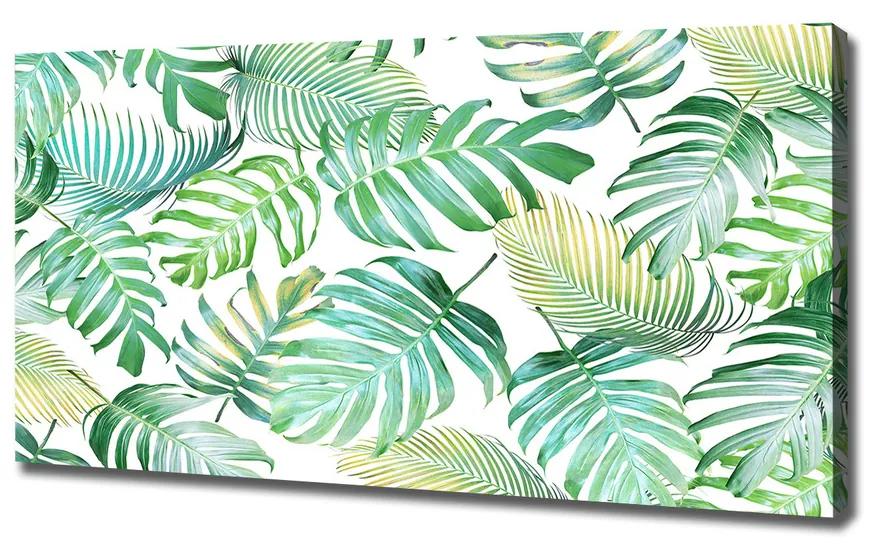 Fali vászonkép Trópusi levelek pl-oc-120x60-f-147218411