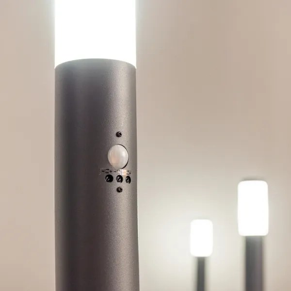BRILAGI - Kültéri lámpa érzékelővel ELIA 1xE27/20W/230V IP44 50 cm antracit