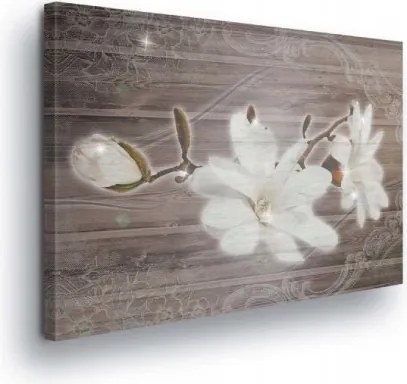 Vászonkép 80x60 Magnólia virág fánk botanika természet finomság nyugalom