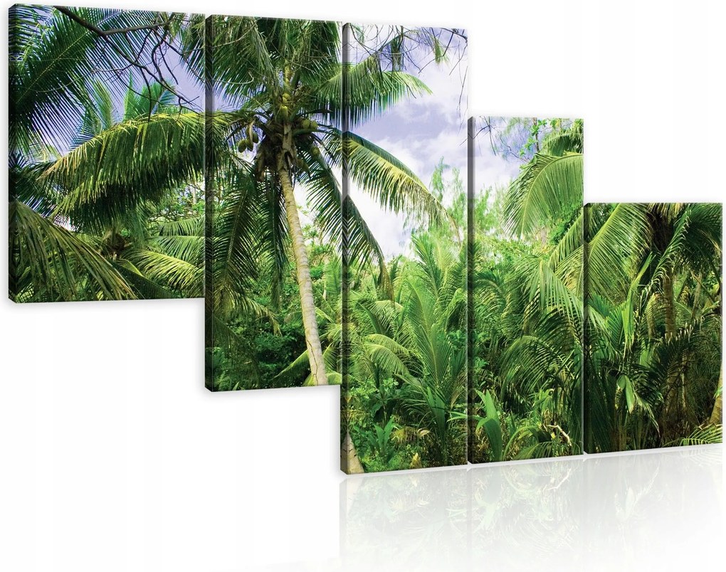 Vászonkép 170x100 Trópusi pálmafák zöld természet erdő egzotikus paradicsom pihenés