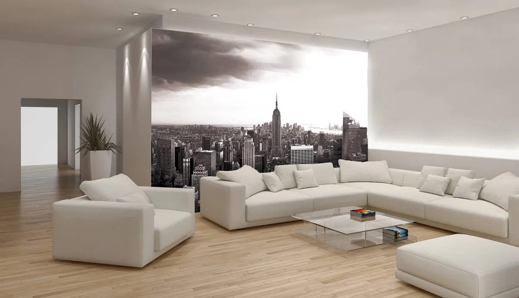 Fotótapéta - New York (152,5x104 cm)