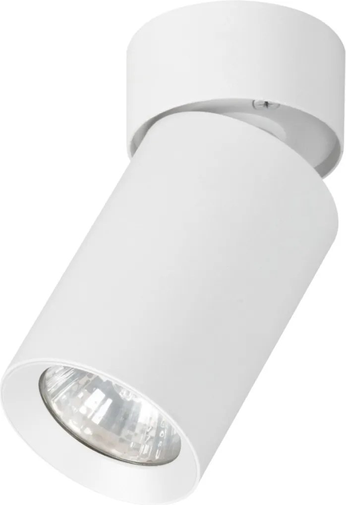 Alfa FLEX 59026 Felületi spotlámpa 1x10W/GU10
