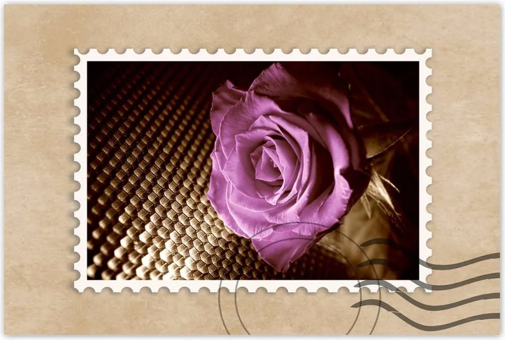 Poszterek 120x80 Rózsa Lila és szépia