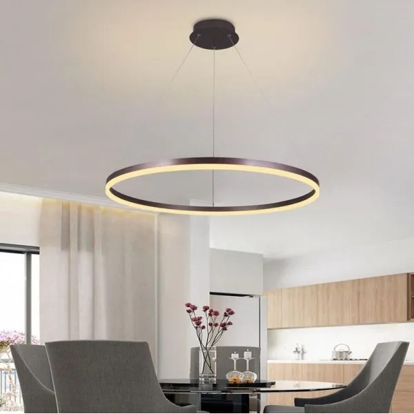 Brilagi - LED Dimmelhető csillár zsinóron CIRCLE LED/55W/230V 3000-6500K barna + távirányító