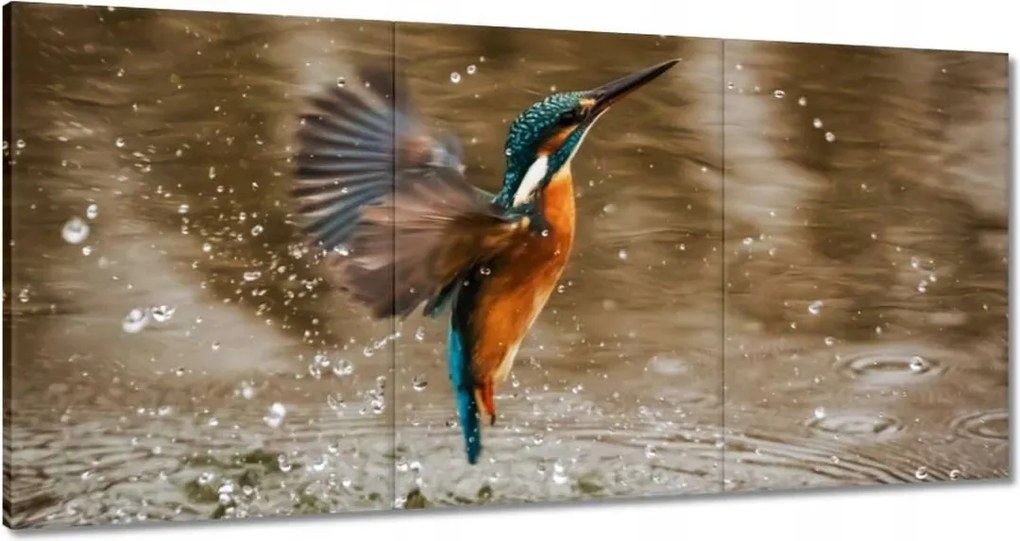 Vászonkép 180x90 Vízivó madár Madár