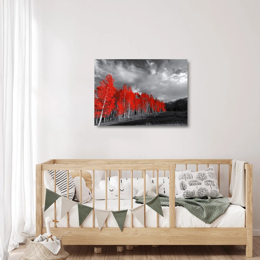 Kép - fák őszi színben (üvegen) (70x50 cm)