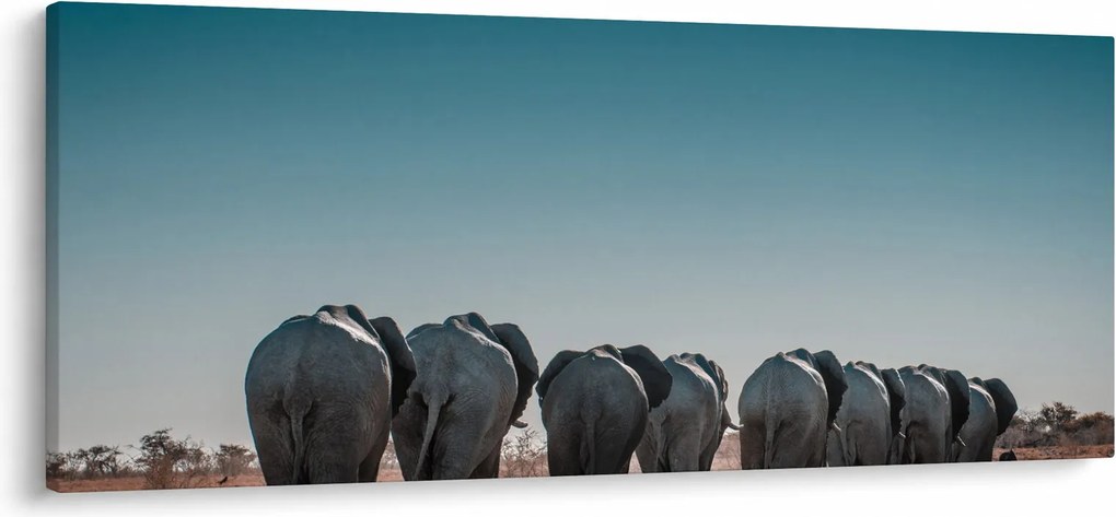 Kép - Elefántok indulása (120x50 cm)