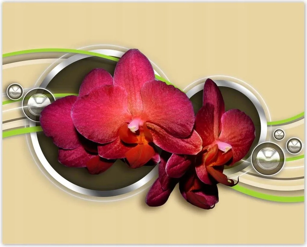 Poszterek 50x40 Virágok Absztrakt