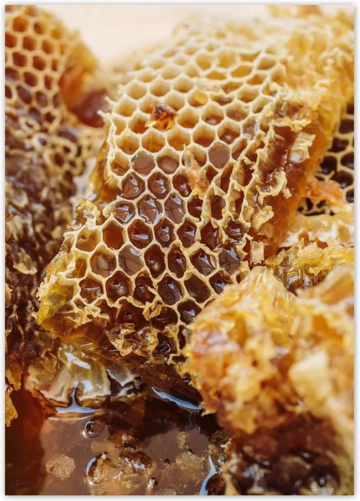 Poszterek 50x70 Sárga méhsejt