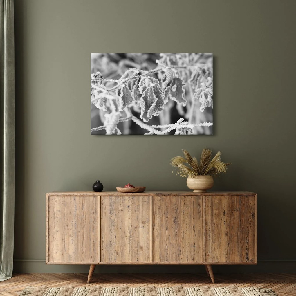 Kép - Fagyott levelek, fekete-fehér (90x60 cm)