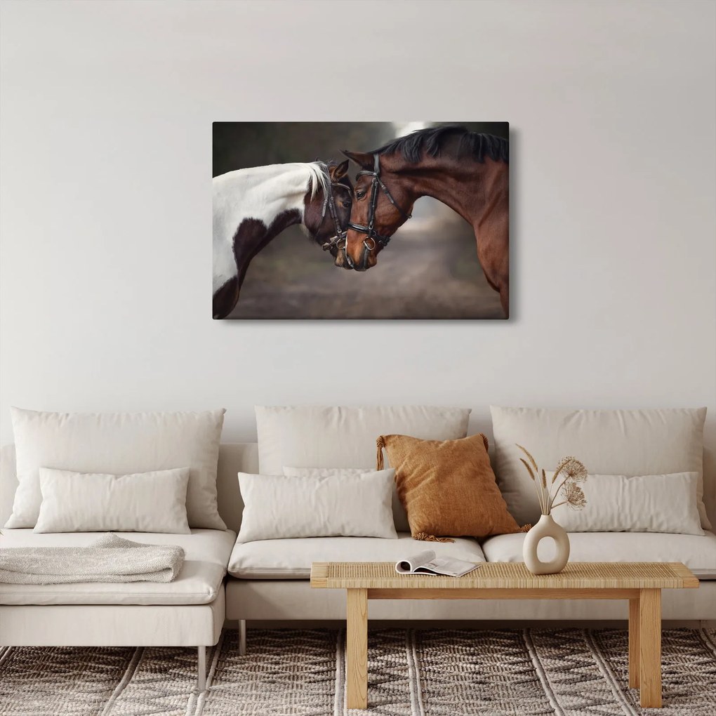 Kép - Szerelmes lovak (90x60 cm)