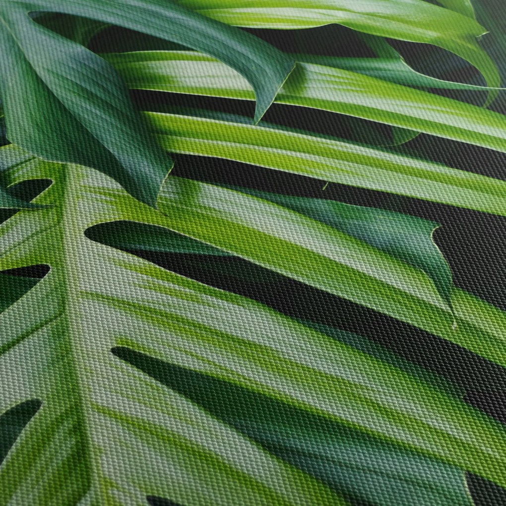 Kép - trópusi levelek (70x50 cm)