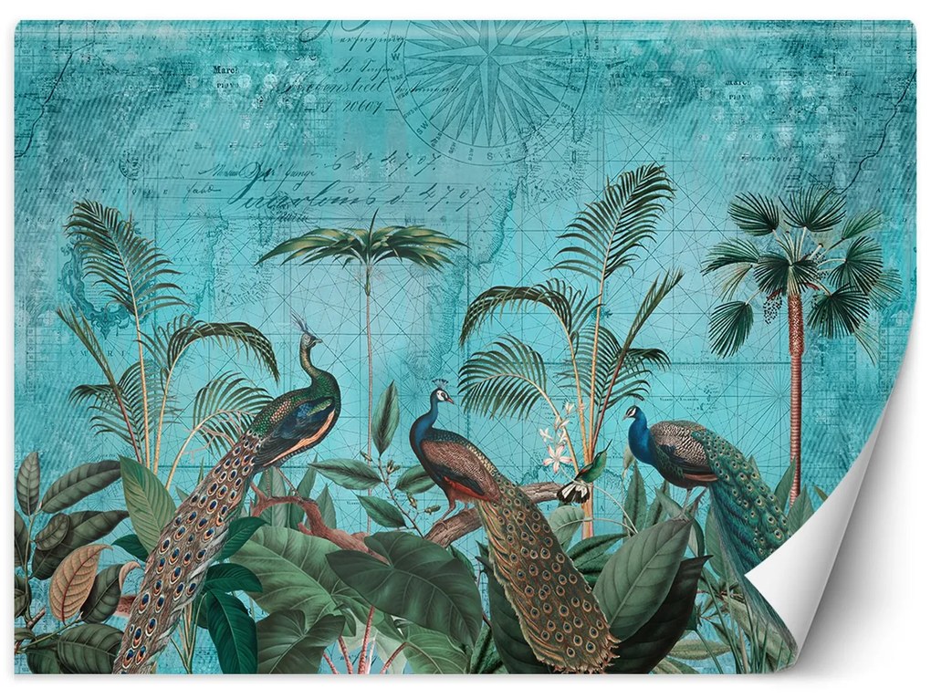 Gario Fotótapéta Pávak levelekben - Andrea Haase Anyag: Vlies, Méret: 250 x 175 cm