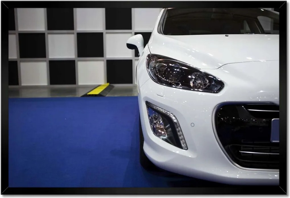 Poszterek keretben 60x40 Sportos karom