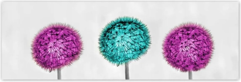 Poszterek 200x66 Lila pitypangok