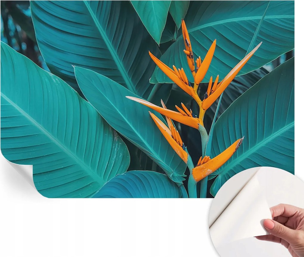 Modern öntapadós fotótapéta falra Lombhullató virágok 104x70 cm