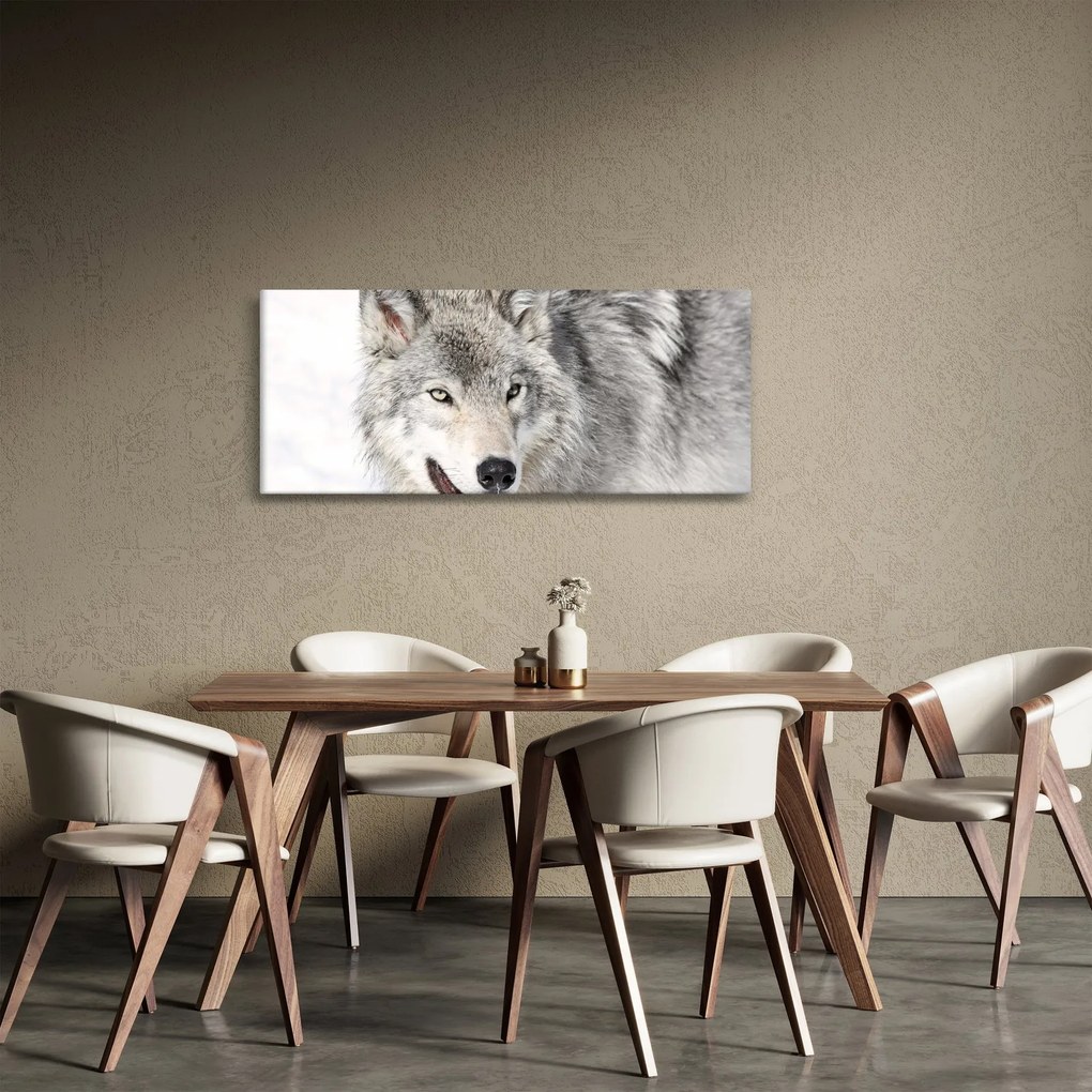 Kép - Farkas a természetben (120x50 cm)