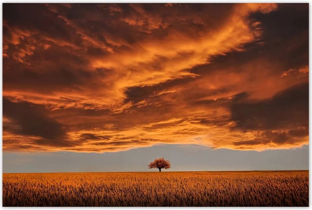 Poszterek 120x80 Narancssárga égbolt